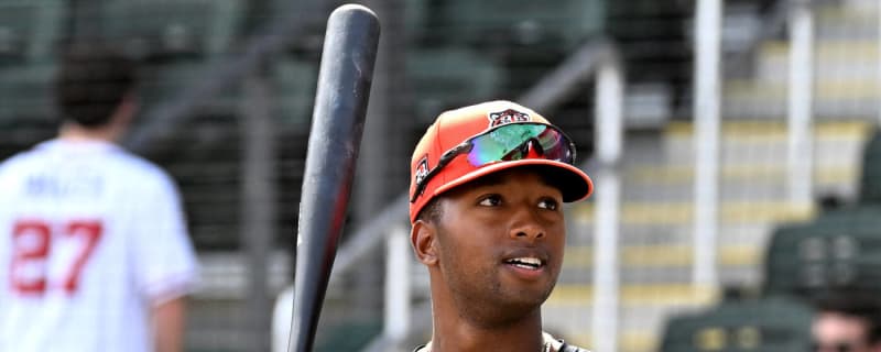 Tigers to promote outfielder with stellar batting eye