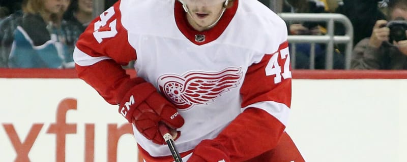 Former Red Wings D Sulak at Odds With Hasek Over KHL