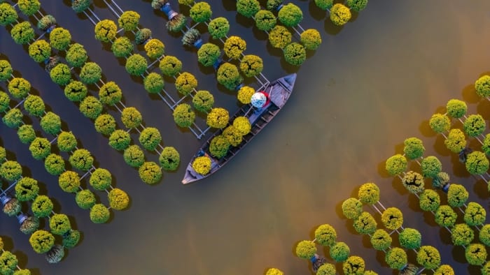 Mekong Delta, Vietnam