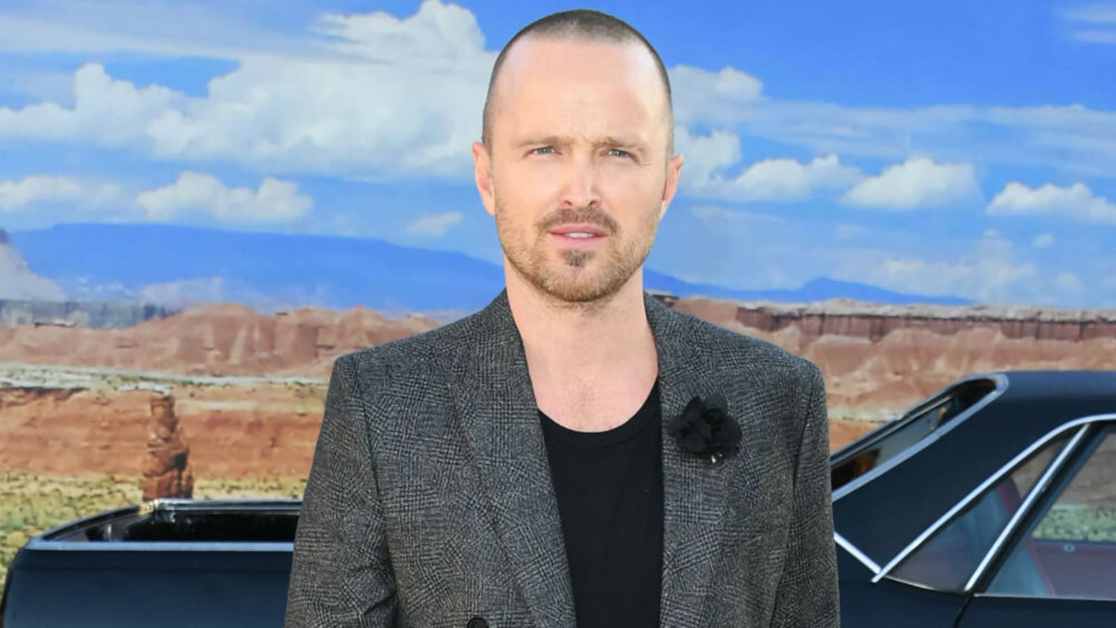 &#39;I feel truly blessed!&#39; Aaron Paul joins psychological thriller The Midnight Pool