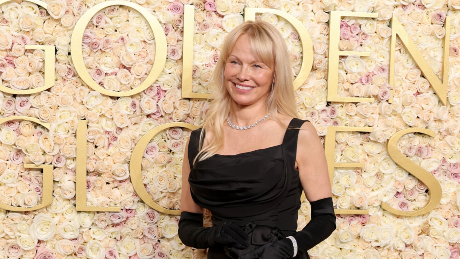 Pamela Anderson wants more &#39;challenging&#39; acting roles