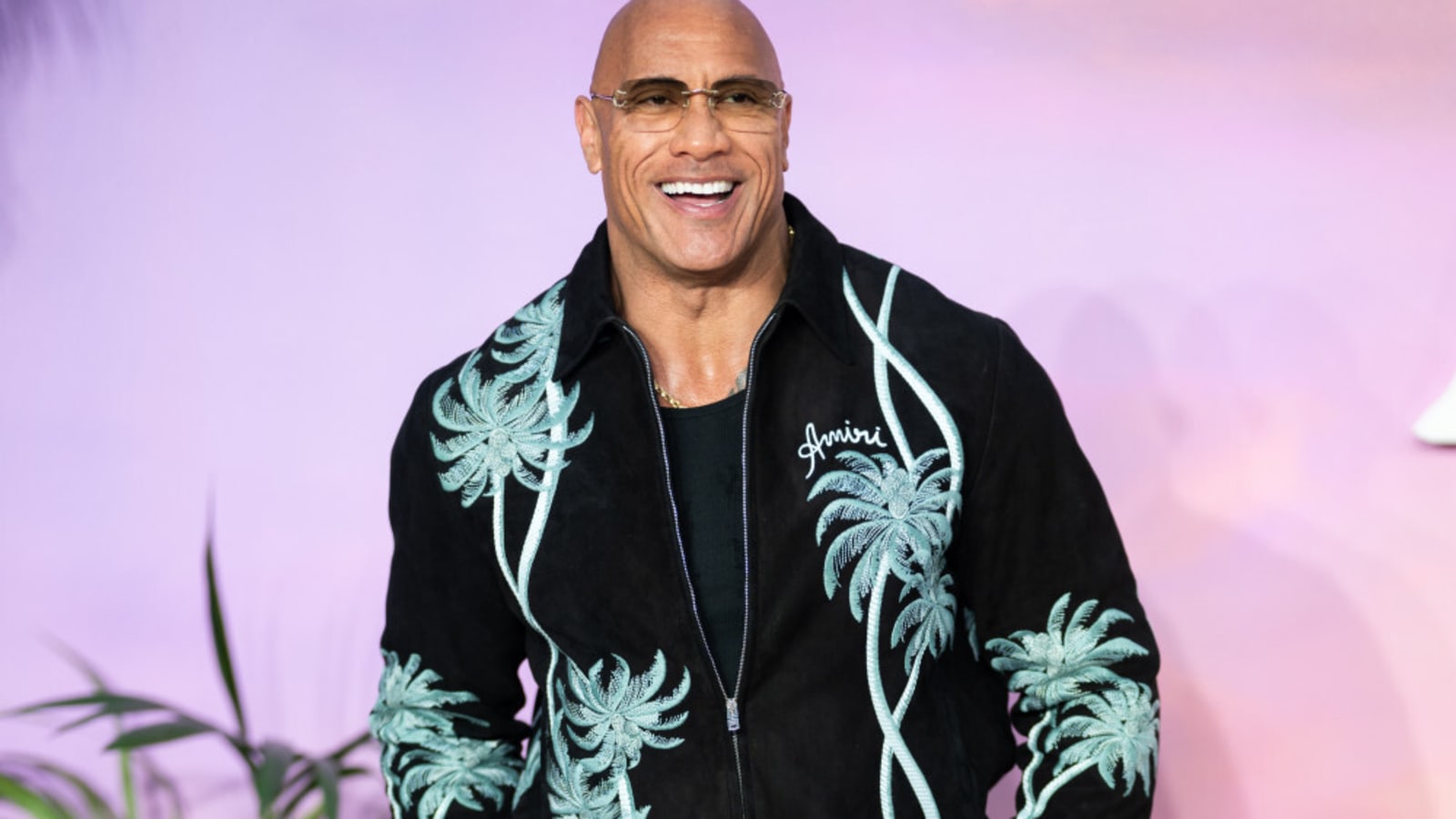 Dwayne Johnson welcomes the &#39;global embrace of Polynesian culture&#39;