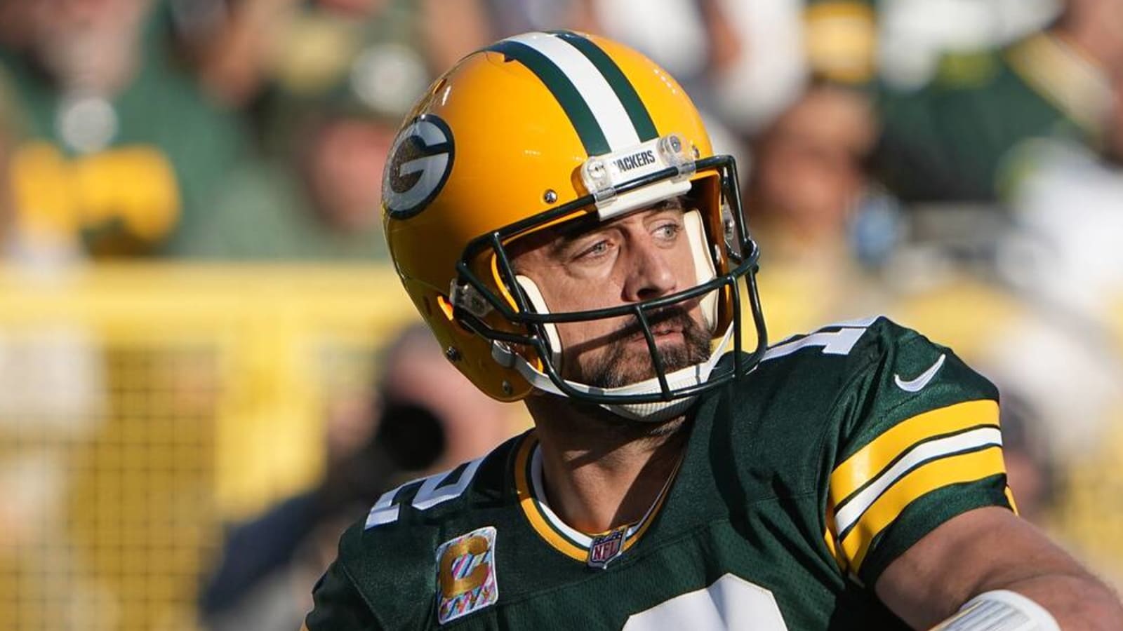 Orlovsky: Packers offense will be 'better than it was last year'