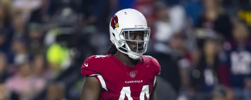 Cardinals Welcome Fan Favorite as Honorary Captain