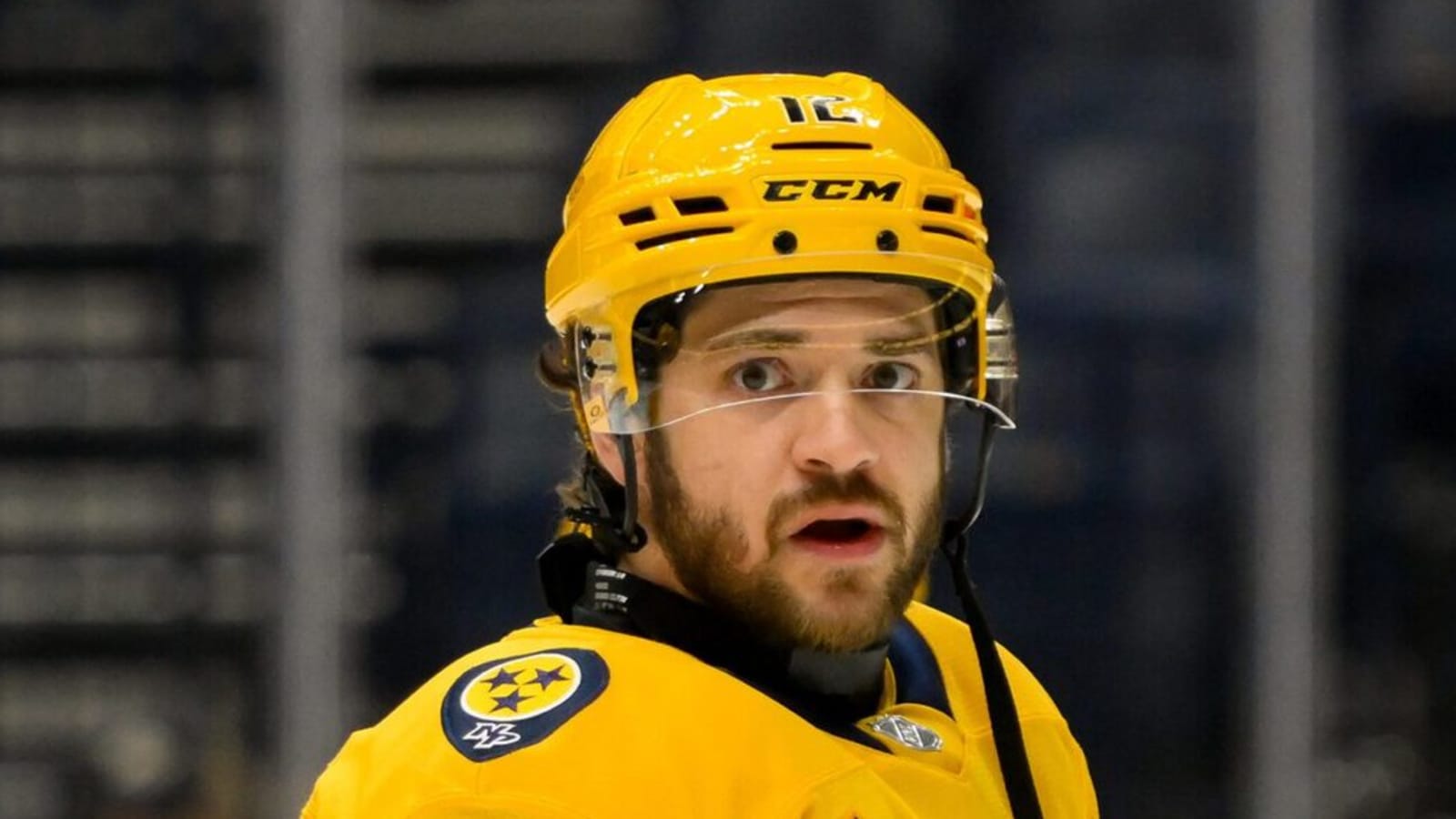 Wild claim veteran center off waivers from Predators