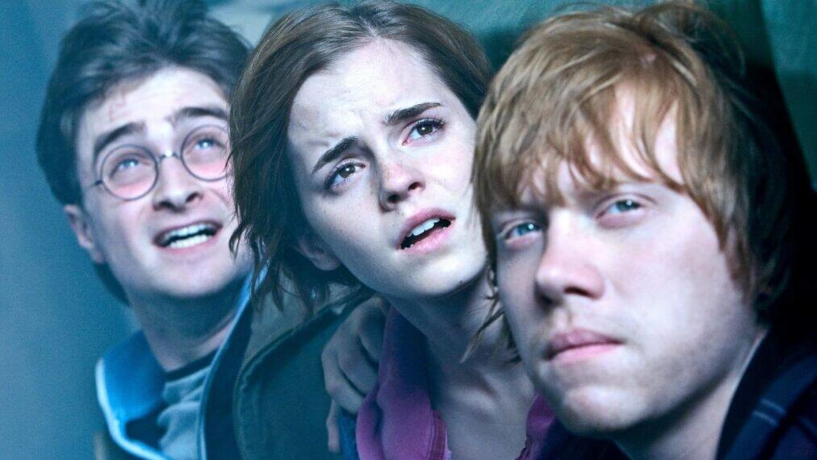 Everything We Know About Max’s ‘Harry Potter’ Series