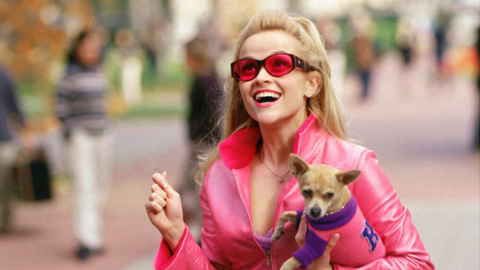 ‘Legally Blonde’ Spinoff Series in the Works: 5 Things That Need to Happen