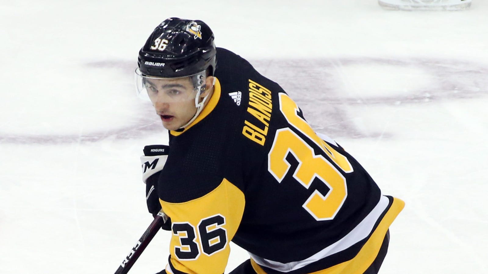 Toronto Maple Leafs organization signs six players