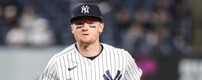 Former Yankees OF now a Dirty Bird