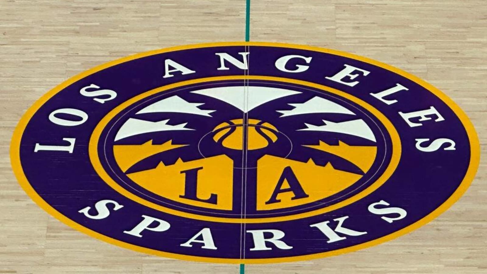 How to watch Los Angeles Sparks vs Chicago Sky: WNBA online free live stream, start time and info