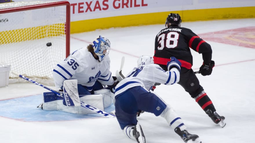 Can Dennis Hildeby Hold Down the Net for the Toronto Maple Leafs
