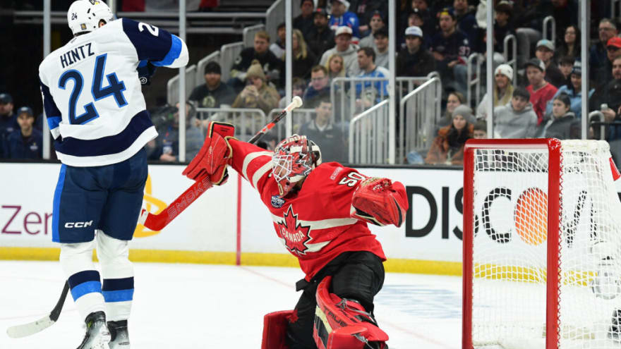St. Louis Blues Potential Winter Olympic Representatives