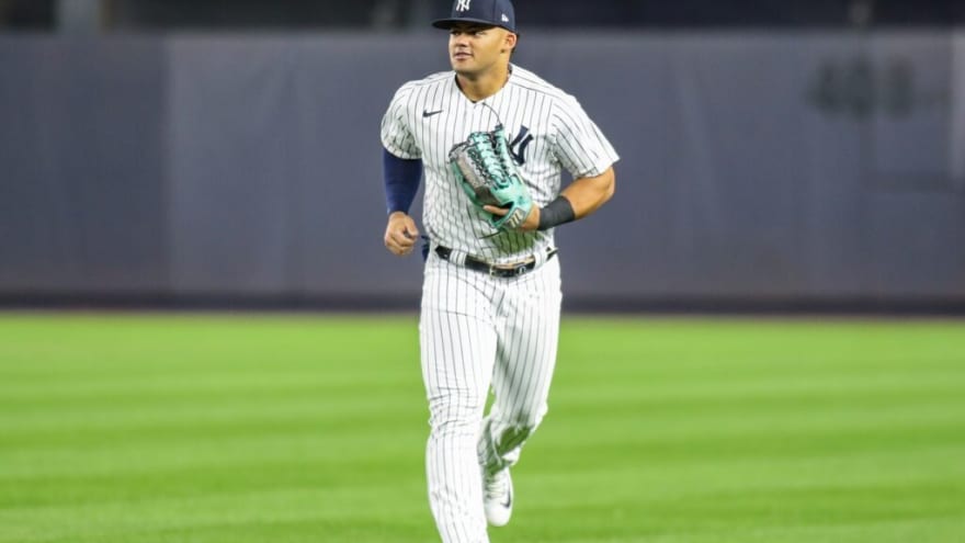The Yankees Have a Jasson Domínguez Problem