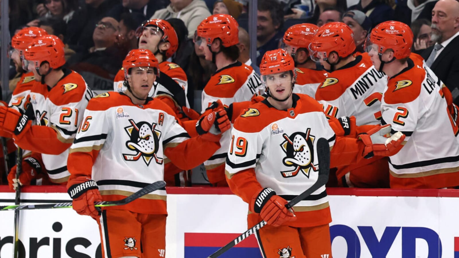 Anaheim Ducks Star Forward Shines Despite Rebuild