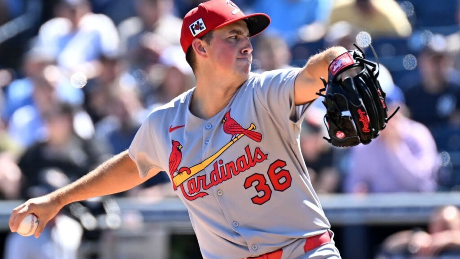 Cardinals Rookie Makes Case to Be In Starting Rotation