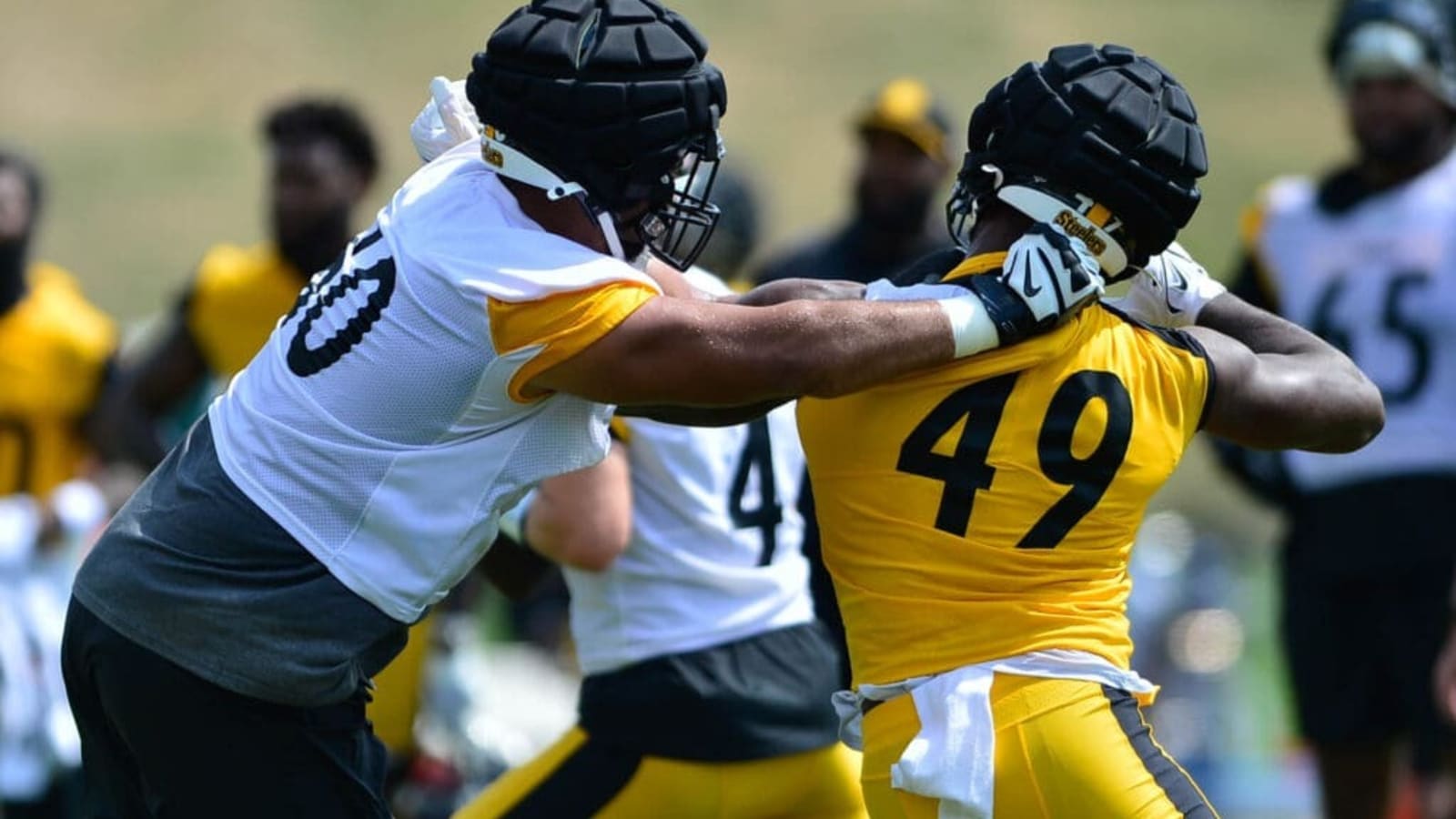 Steelers Bring Back Just-Waived Offensive Tackle