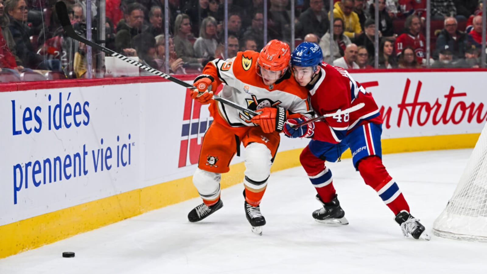 Predicting Anaheim Duck Troy Terry’s Stat Line for 2025-26 Season