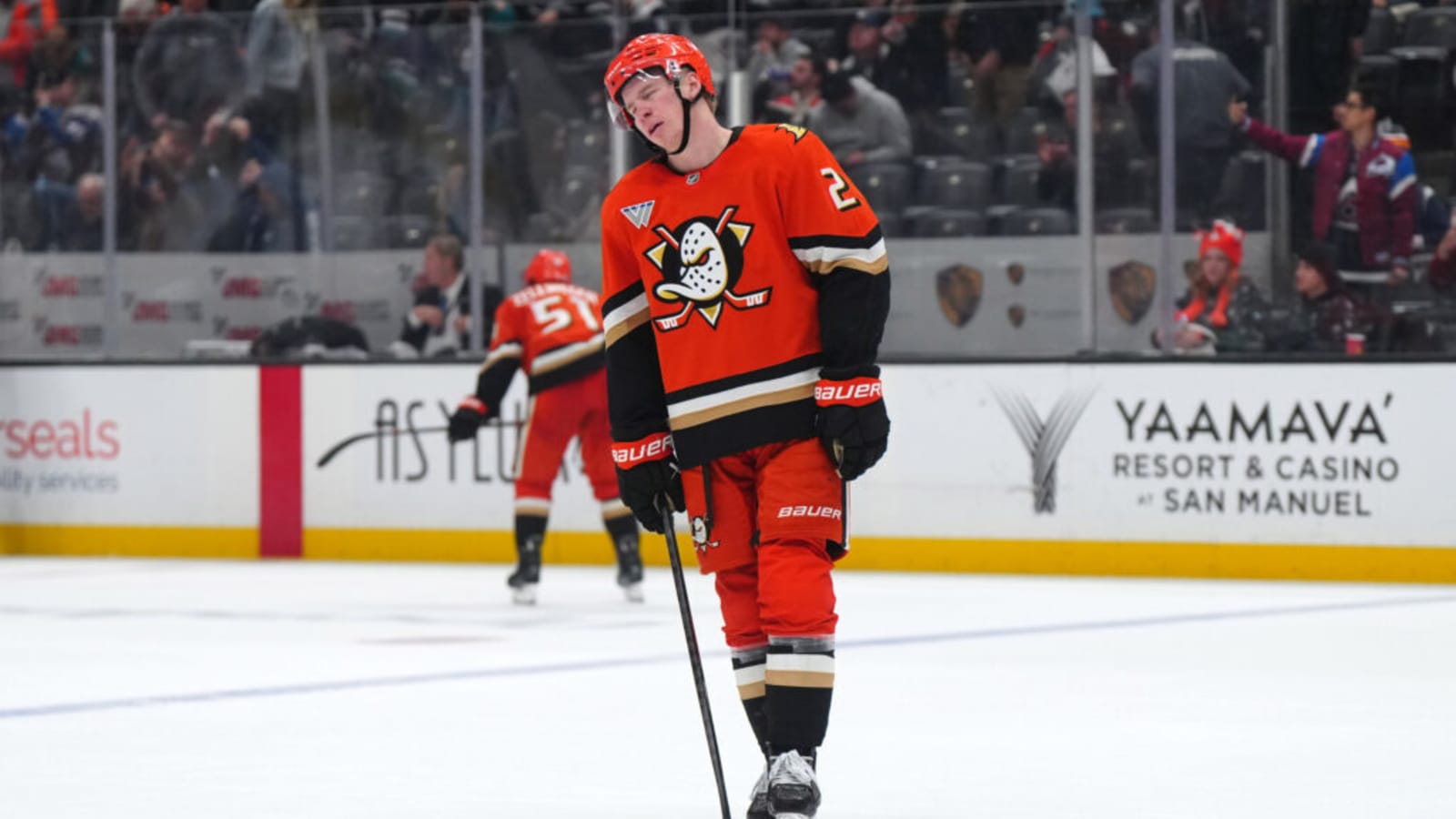 Anaheim Ducks Falling Short of Own Expectations