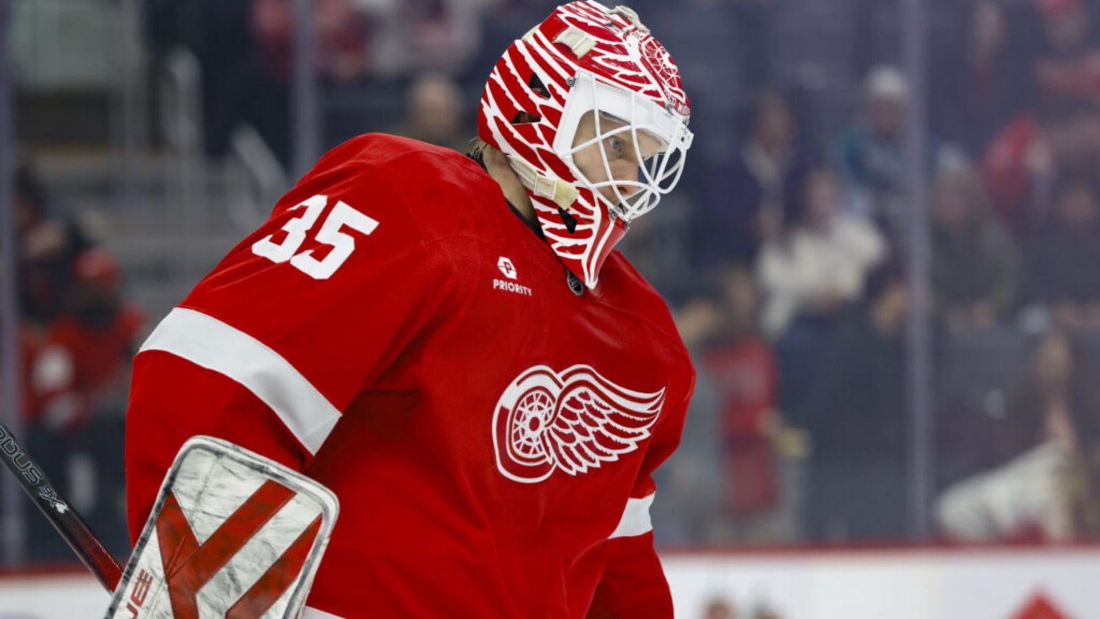 Anaheim Ducks Trade for Depth Goaltender