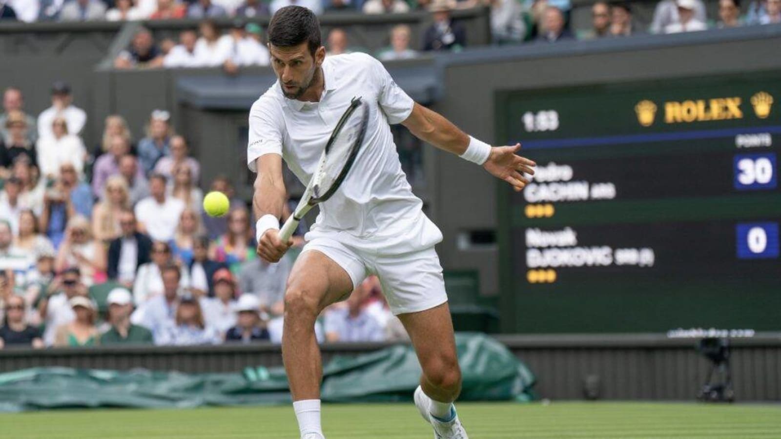 Wimbledon Men’s Semifinal Predictions Novak Djokovic vs Jannik Sinner