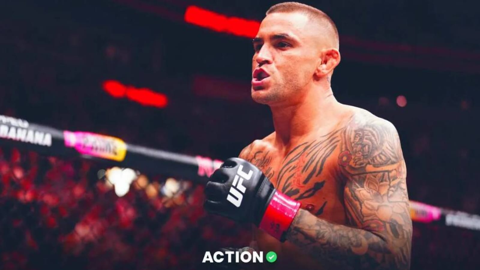 UFC 302 odds, picks, projections: Best bets for Makhachev vs. Poirier and more for Sat. 6/1