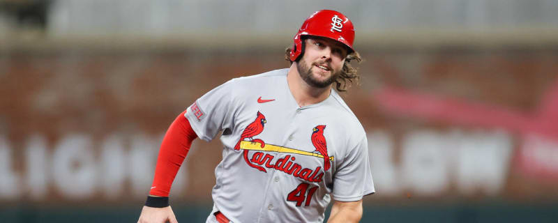 My Thoughts on the Cardinals Outfield - Viva El Birdos