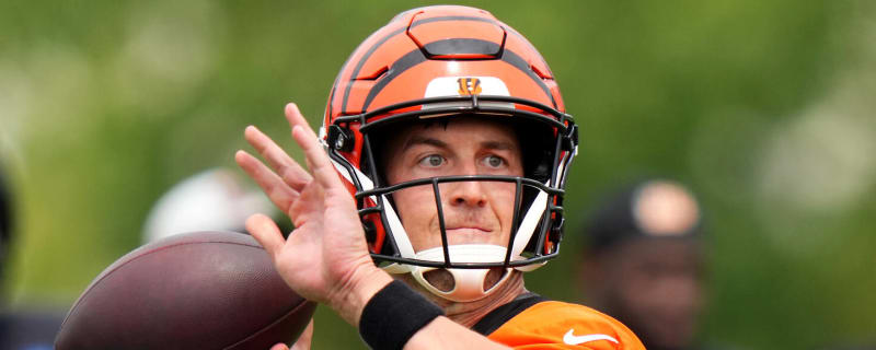 AFC North backup quarterback panic meter