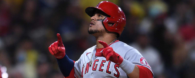 Man sues Angels after he was allegedly blinded by a baseball during game