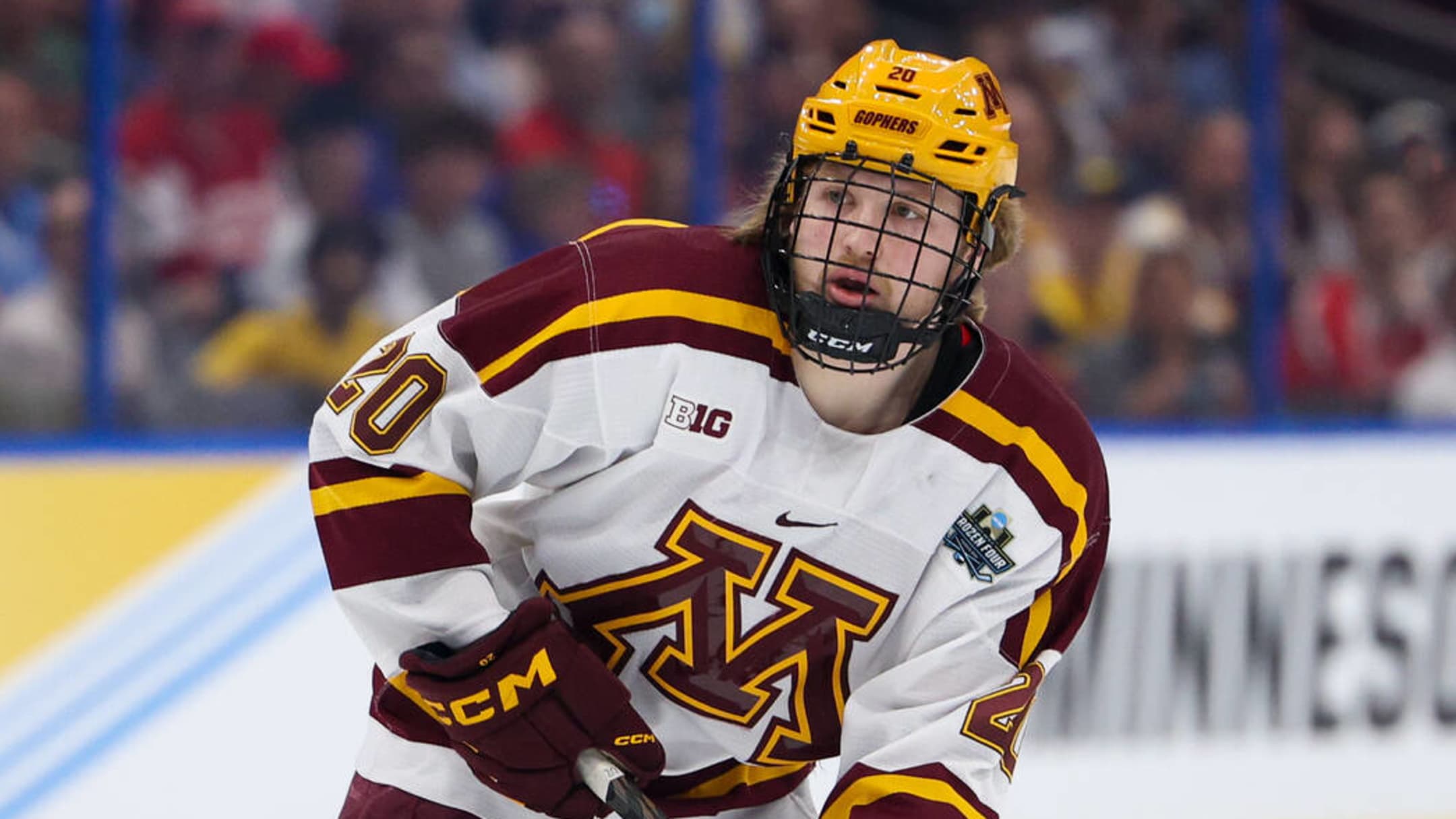 minnesota golden gophers hockey jersey