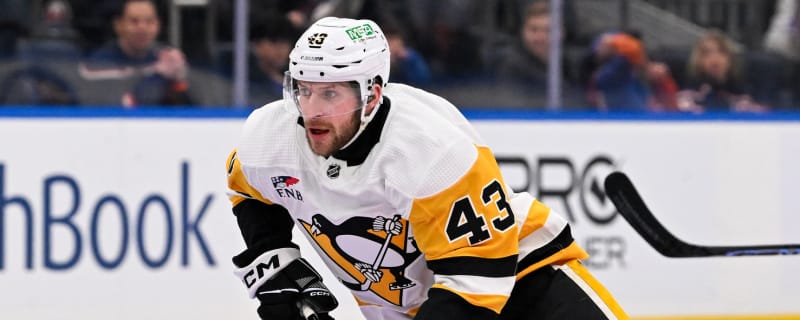 Ducks sign veteran center to two-year deal