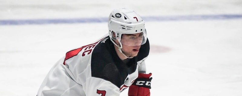 Fitzgerald: Devils Don't Need Nemec to Make the Roster - New