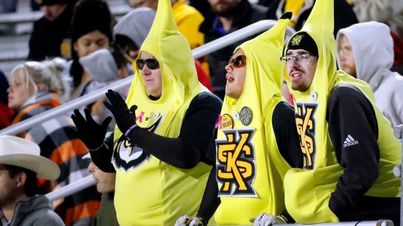2025 Kennesaw State Football Schedule: Game Dates, Matchups, and CUSA Teams Missed