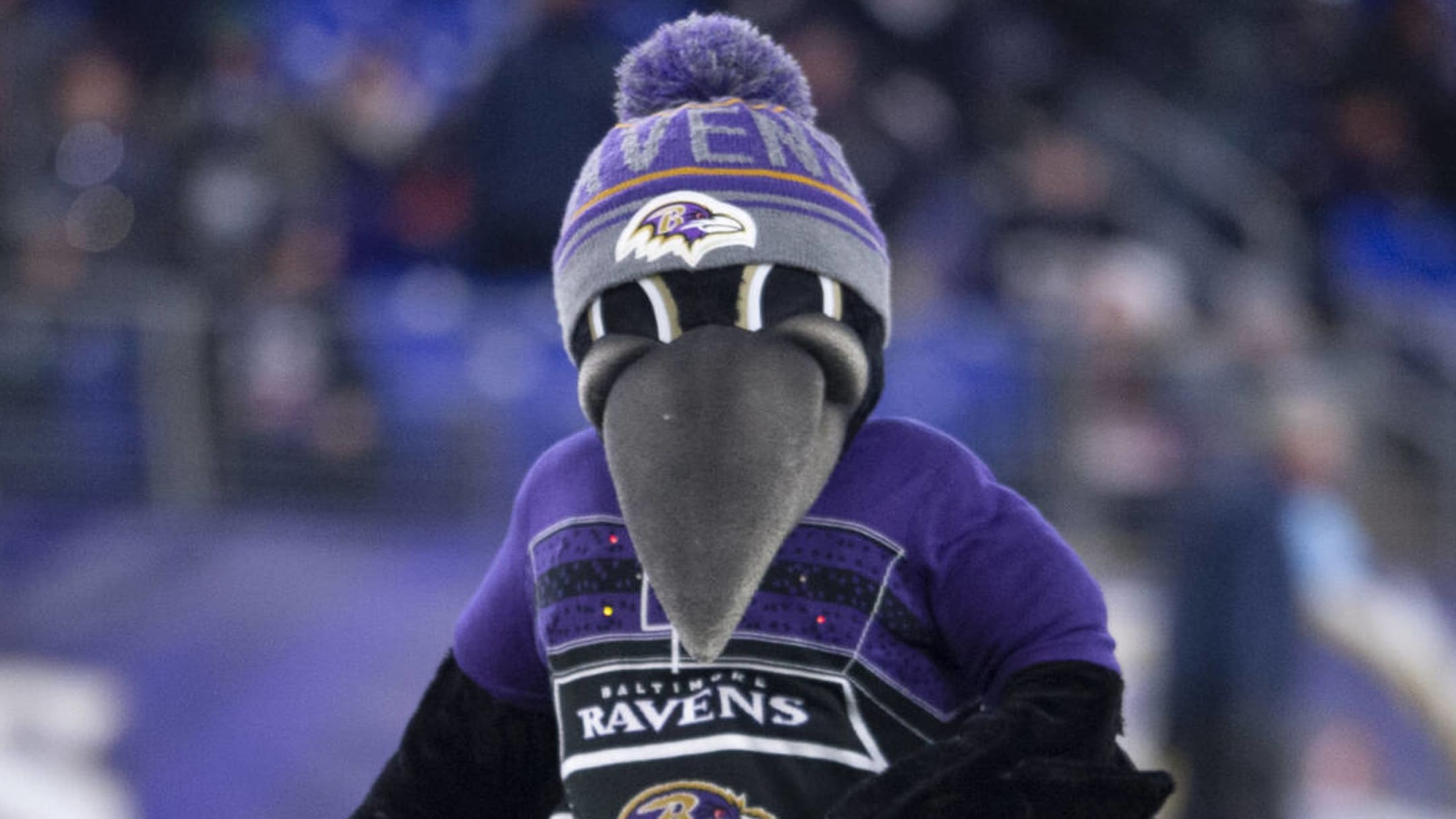 Baltimore Ravens Mascot Returns from Drumstick Injury By Doing