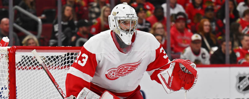 Is Sebastian Cossa the Red Wings Goalie of the Future?