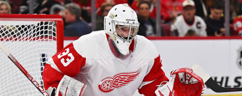Red Wings' goaltending future seems clear
