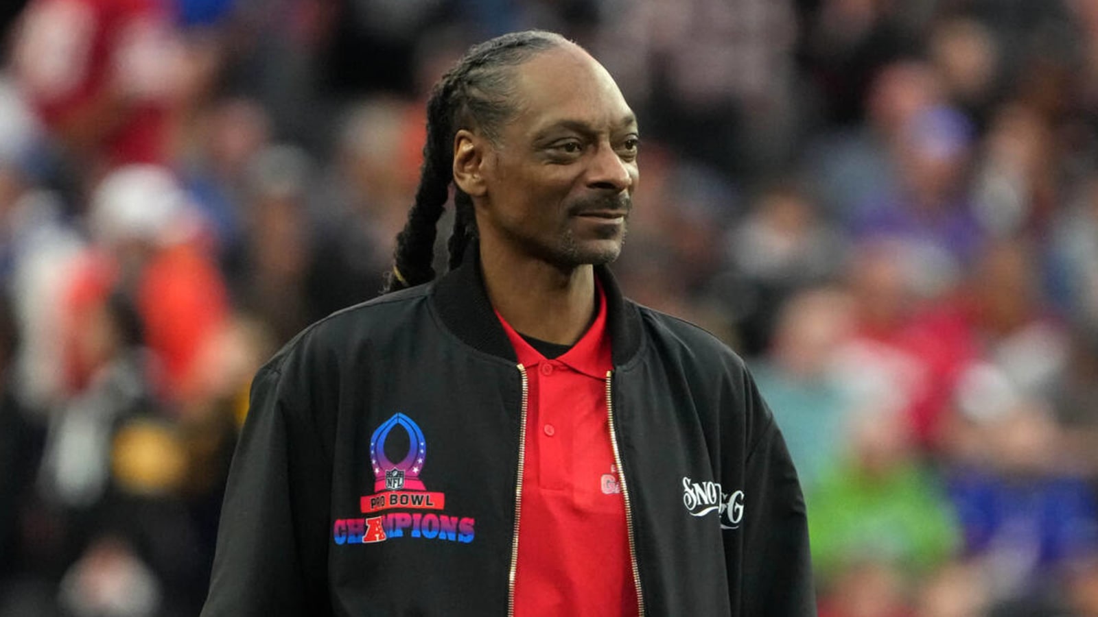 Snoop Dogg discusses plans to grow hockey amid bid for Senators