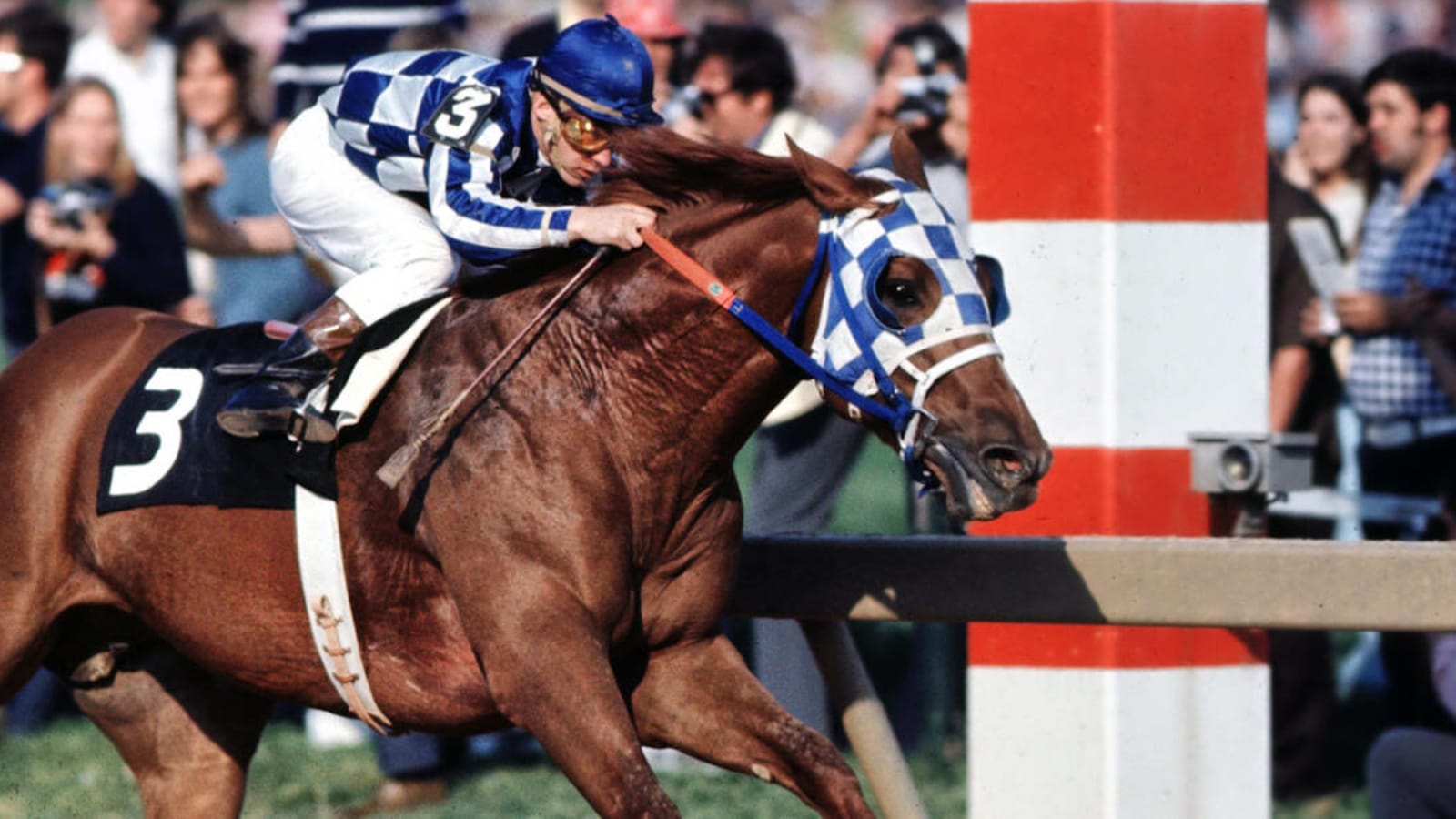 Who won the Preakness Stakes the year you were born?
