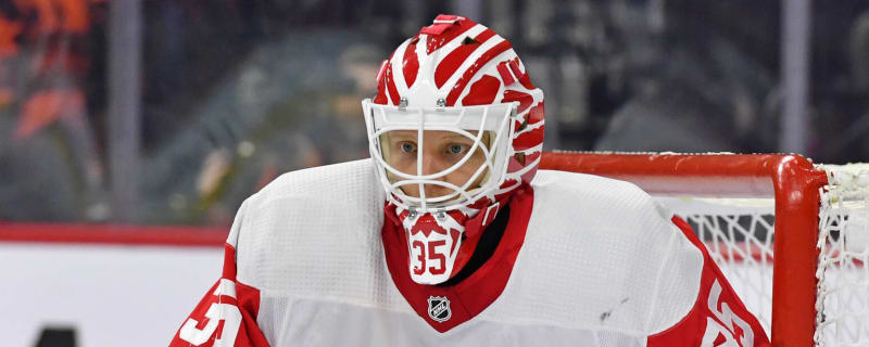 Red Wings place starting goaltender on IR