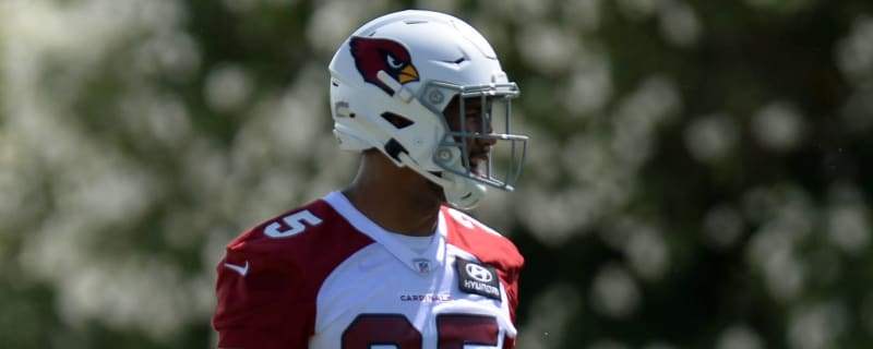 Jonathan Gannon names Arizona Cardinals' 6 team captains for 2023 season -  Revenge of the Birds