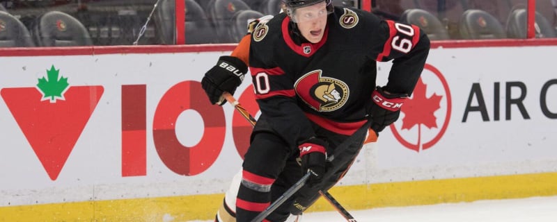 Senators’ 2019 first-round pick Lassi Thomson signs in SHL