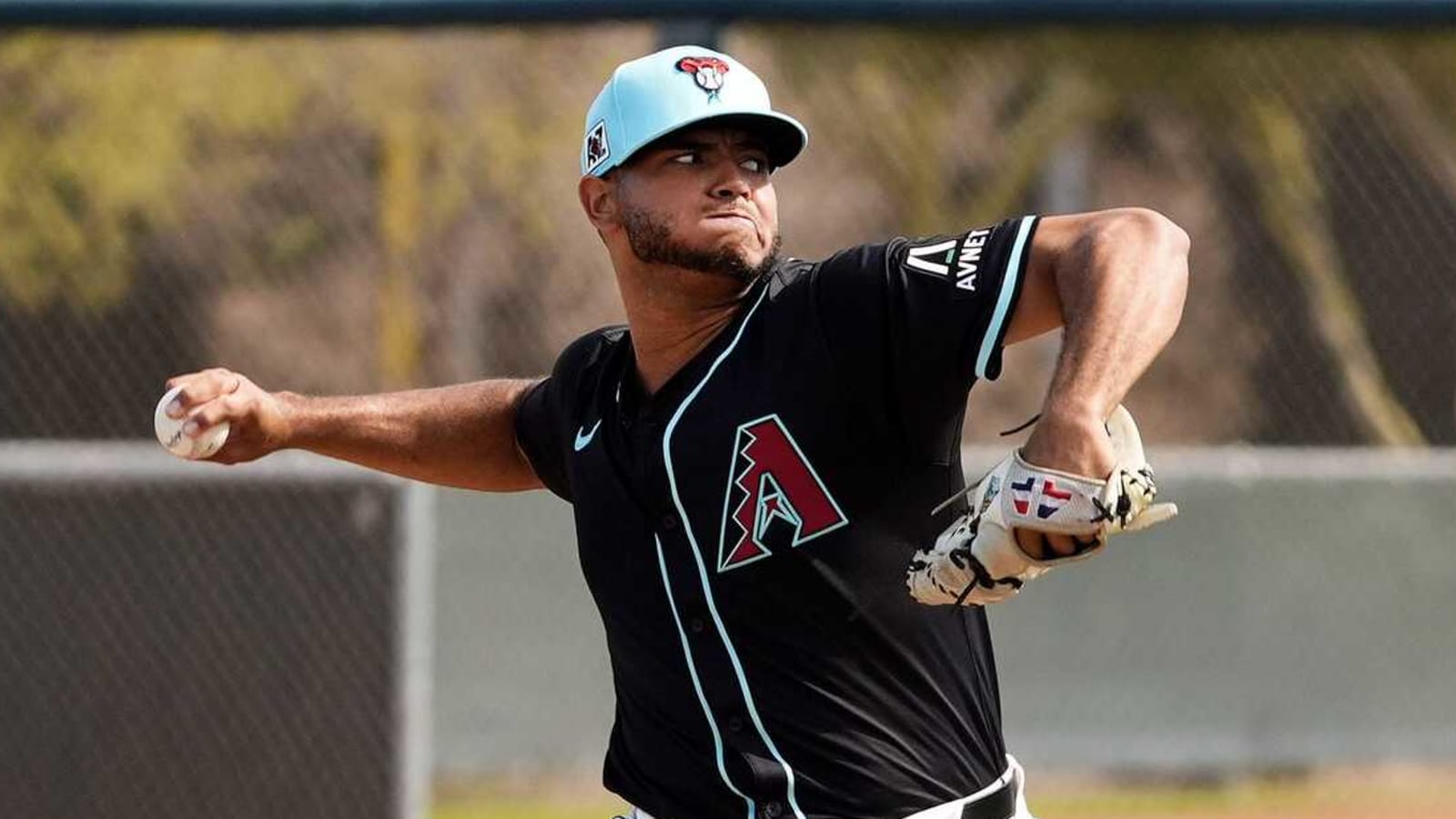  Arizona Diamondbacks Listher Sosa tests positive for drug test