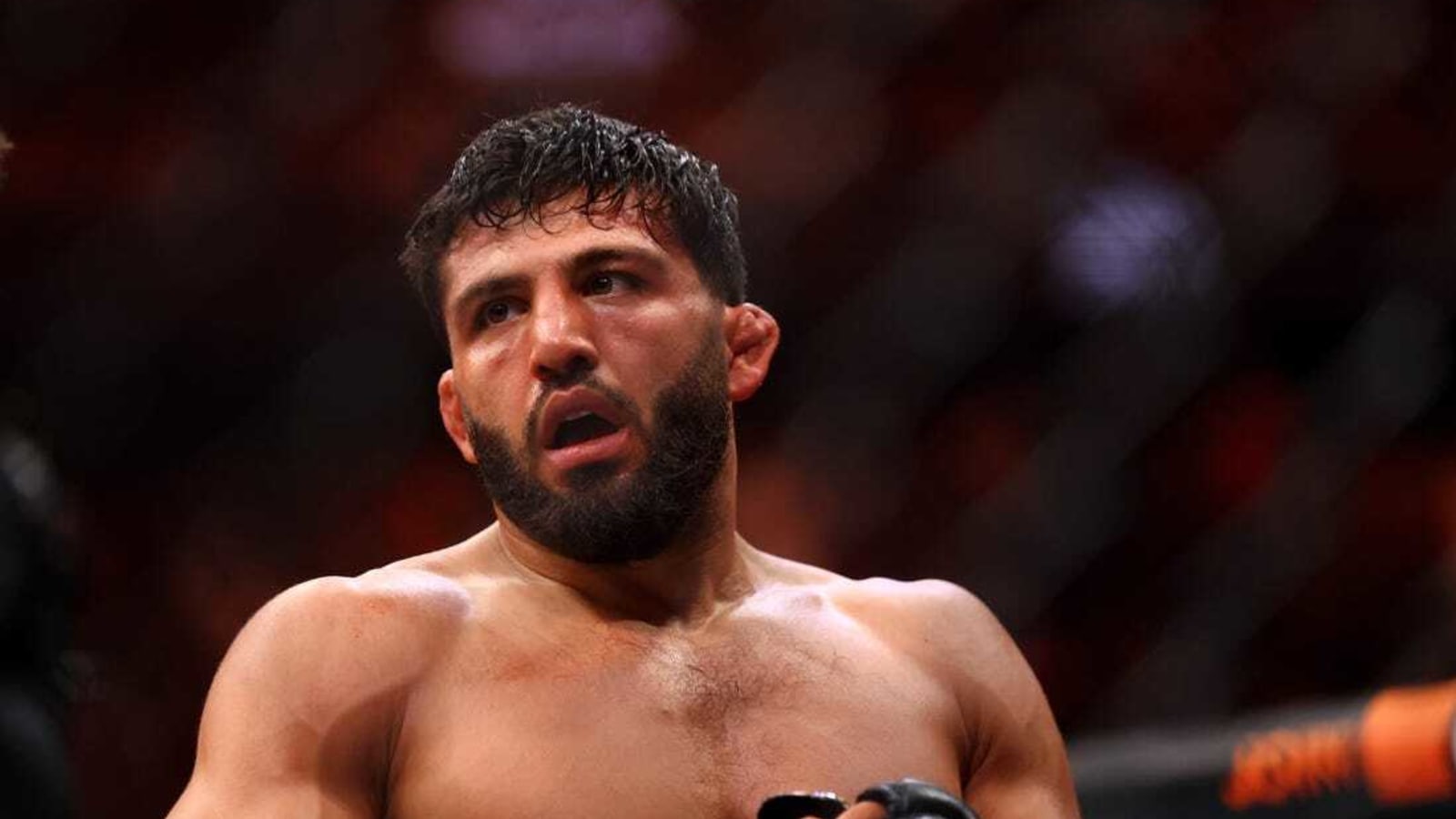 UFC fighter Arman Tsarukyan suspended 9 months for punching fan