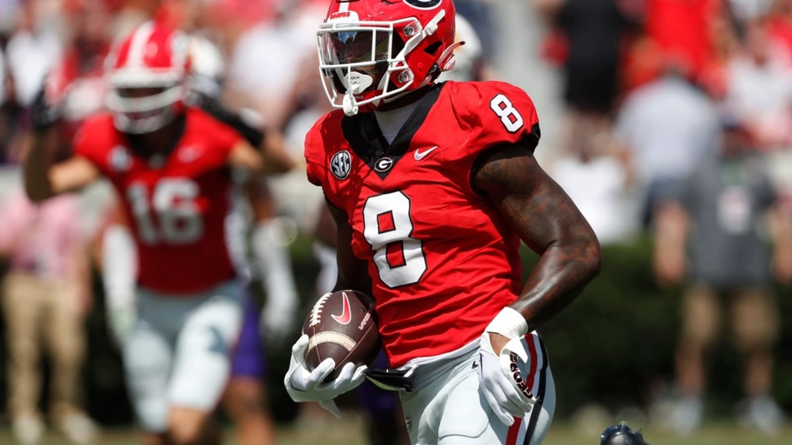 Georgia WR Colbie Young facing battery charge