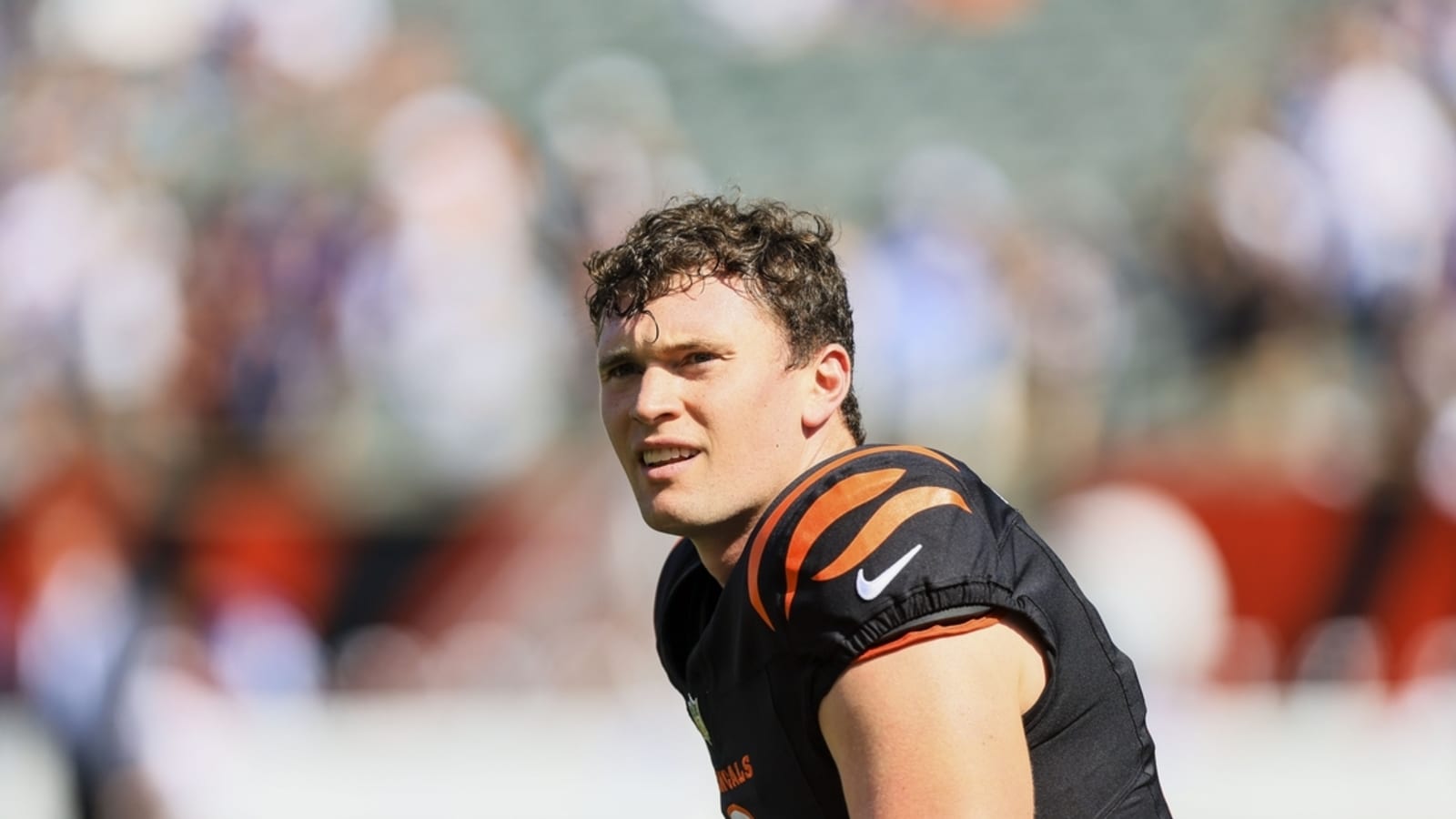 Bengals sign P Ryan Rehkow to 2-year extension