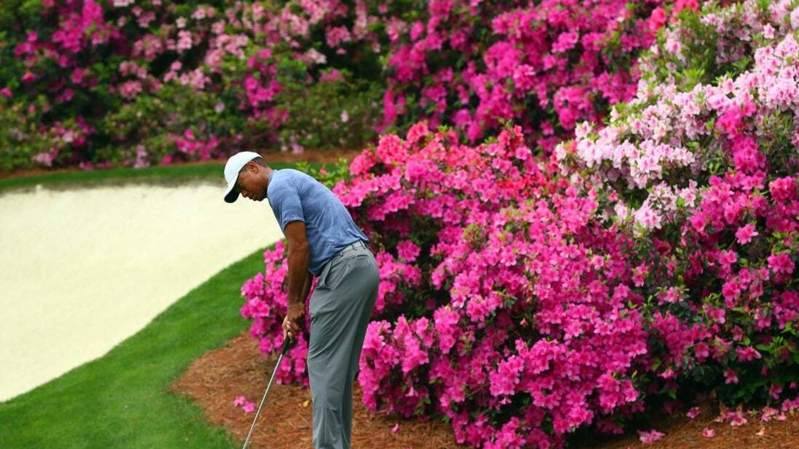 Tiger, Augusta National to team up on nine-hole course, training center
