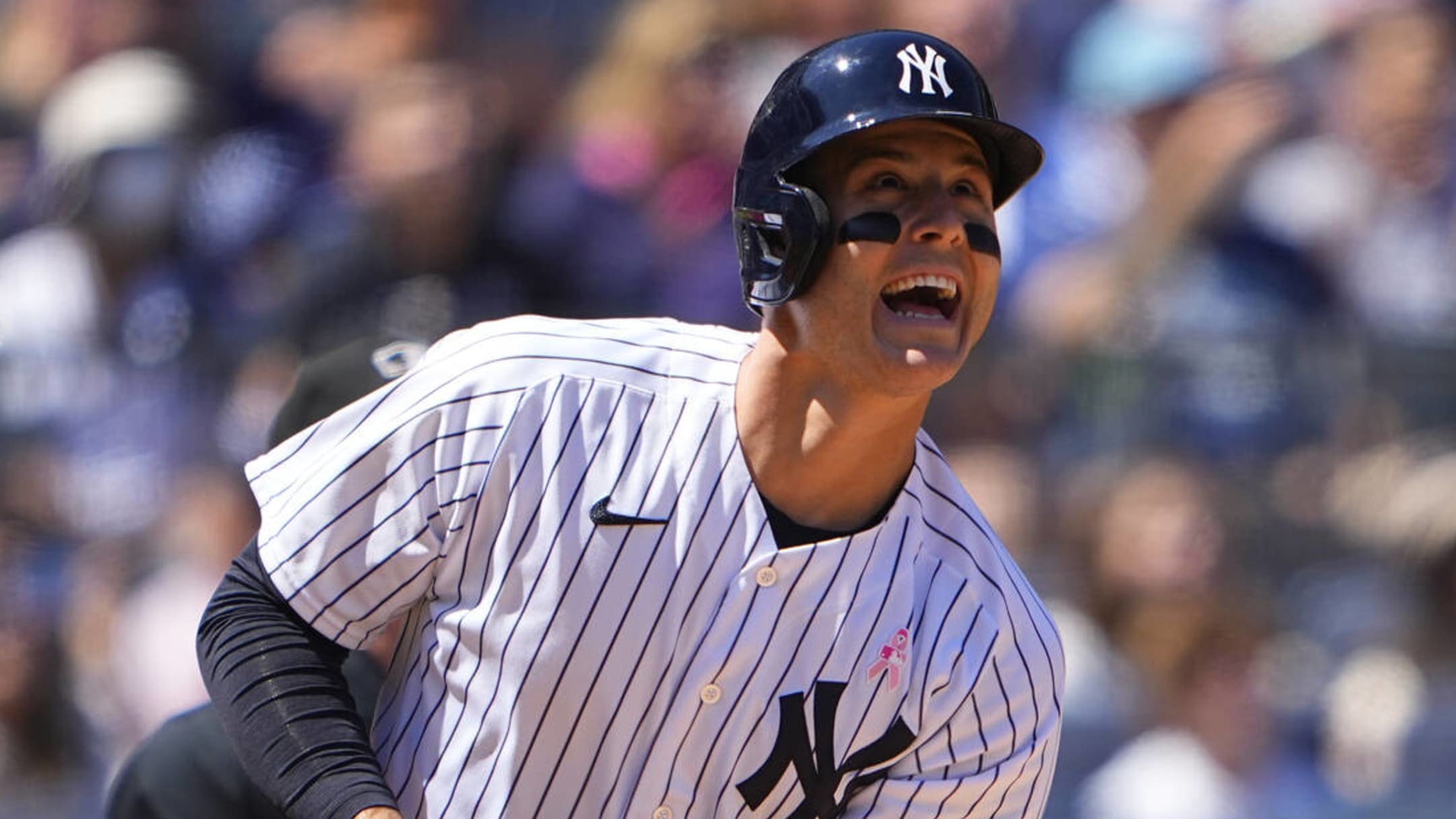 Anthony Rizzo plays home run hero as Yankees top Rays