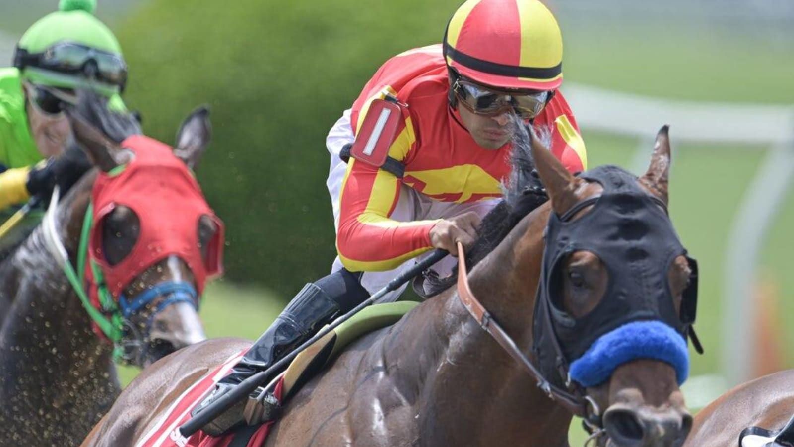 Bob Baffert-trained horse euthanized on track ahead of Preakness