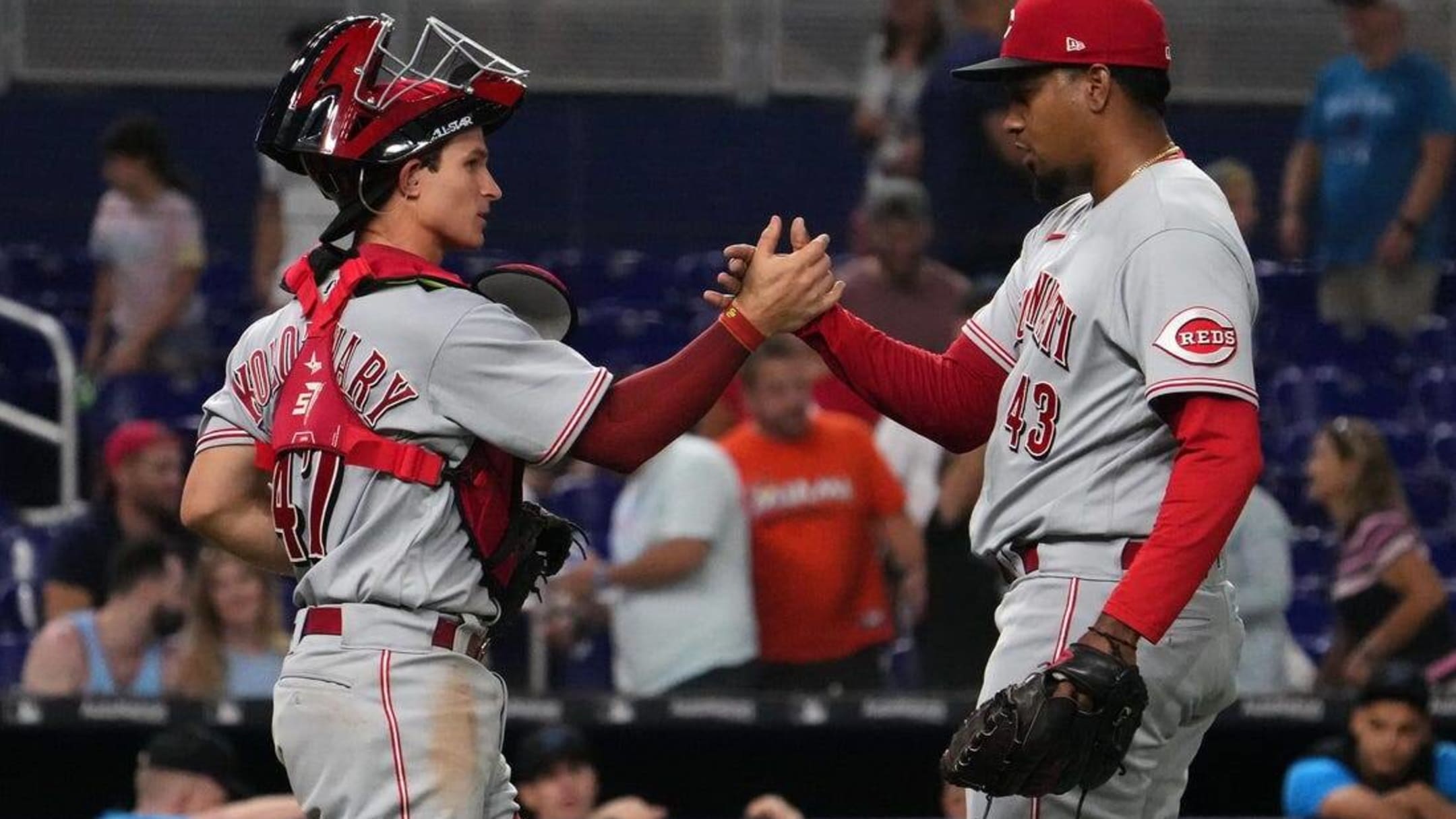 Marlins host bark at the park, 06/09/2019