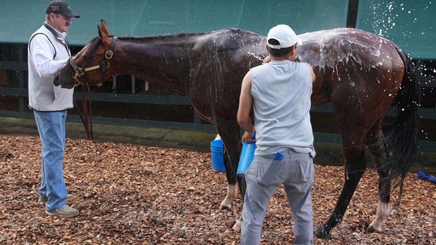 Preakness favorite Muth scratched, setting up Derby winner Mystik Dan