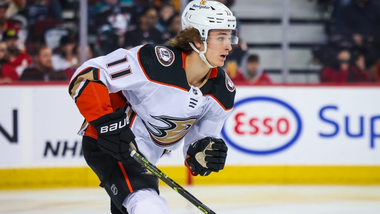 Ducks F Trevor Zegras facing possible suspension